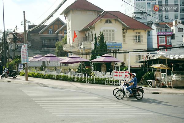 Bạn sẽ bất ngờ khi biết điều n&agrave;y: Cả th&agrave;nh phố Đ&agrave; Lạt kh&ocirc;ng hề c&oacute; đ&egrave;n xanh đ&egrave;n đỏ! - Ảnh 9.