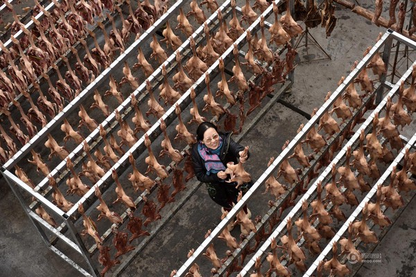 Hàng chục nghìn con vịt quay phơi mình trên phố chào mừng Tết Bính Thân - Ảnh 7.