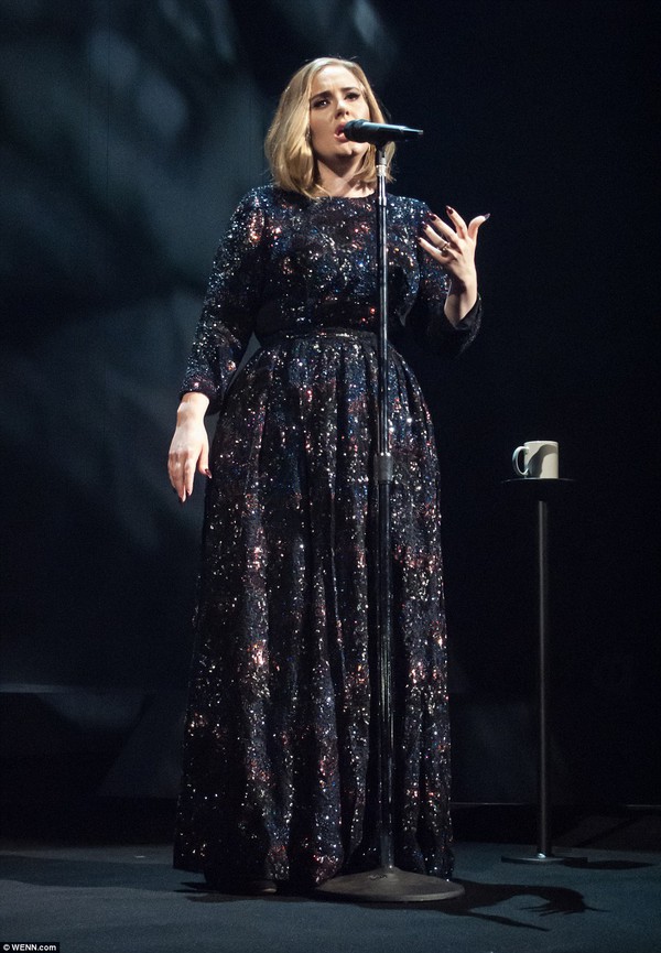 Adele bắt đầu đi tour, giúp fan cầu hôn ngay trong show đầu tiên - Ảnh 7.