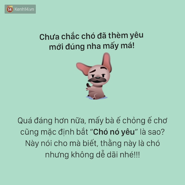 T&acirc;m sự đầy đau khổ của một ch&uacute; ch&oacute; - Ảnh 6.