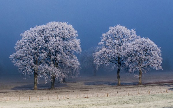 Chùm ảnh: Tuyết phủ trắng xóa khắp thế giới - Ảnh 11.