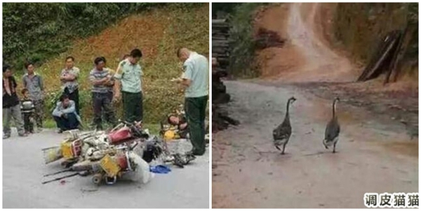 Chuyện t&igrave;nh ngang tr&aacute;i của cặp ti&ecirc;n đồng ngọc ngỗng khiến bao người phải rơi lệ - Ảnh 2.