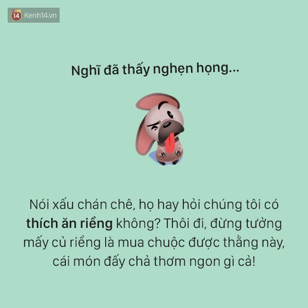 T&acirc;m sự đầy đau khổ của một ch&uacute; ch&oacute; - Ảnh 7.