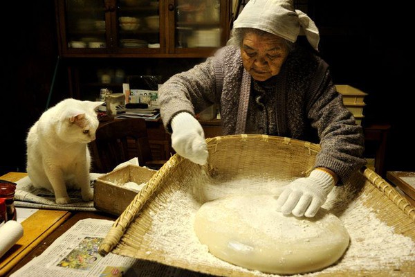 Tạm biệt Fukumaru, chú mèo Nhật Bản từng khiến hàng triệu người yêu mến - Ảnh 14.