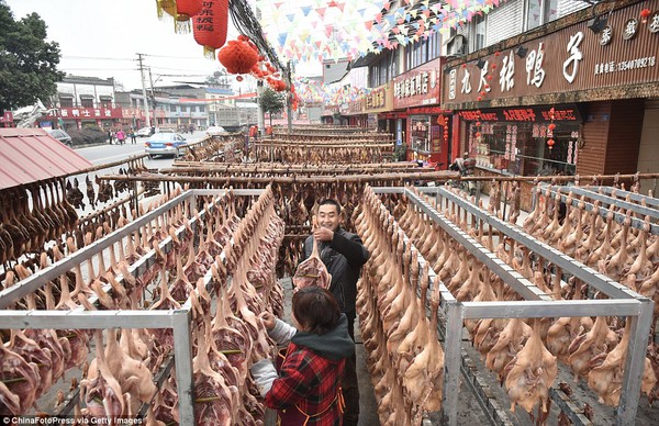 Hàng chục nghìn con vịt quay phơi mình trên phố chào mừng Tết Bính Thân - Ảnh 9.