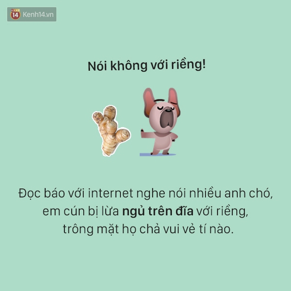 T&acirc;m sự đầy đau khổ của một ch&uacute; ch&oacute; - Ảnh 8.