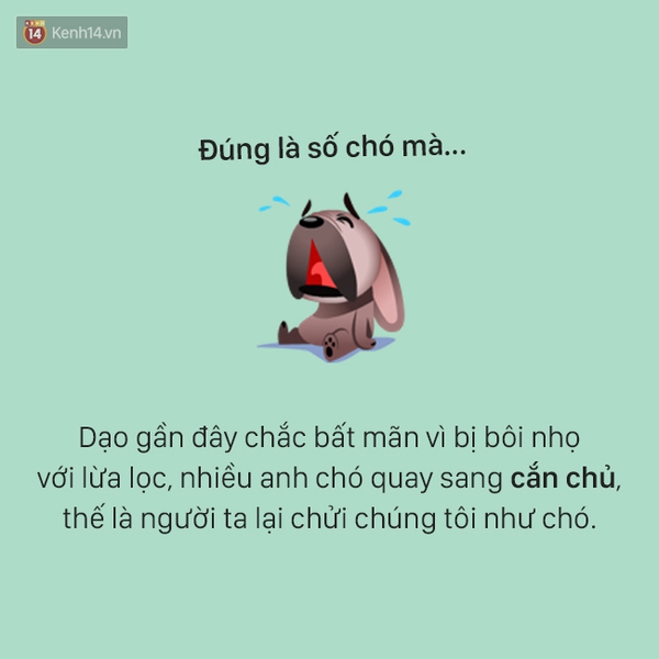 T&acirc;m sự đầy đau khổ của một ch&uacute; ch&oacute; - Ảnh 9.