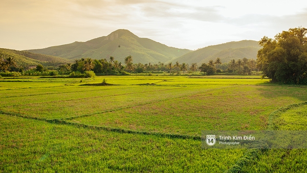 Hãy đến những nơi này để thấy Phú Yên còn đẹp hơn những gì bạn thấy trong hoa vàng cỏ xanh - Ảnh 28.