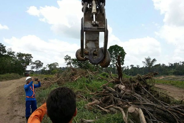 Phát hiện con trăn lớn nhất hành tinh ở Brazil - Ảnh 3.