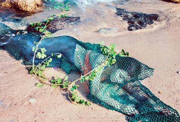 Người đăng tin xuất hiện &ldquo;n&agrave;ng ti&ecirc;n c&aacute;&rdquo; bị phạt 5 triệu đồng - Ảnh 1.