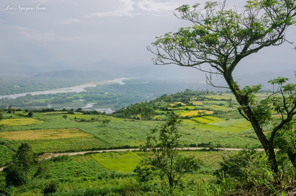 Hãy đến những nơi này để thấy Phú Yên còn đẹp hơn những gì bạn thấy trong hoa vàng cỏ xanh - Ảnh 9.