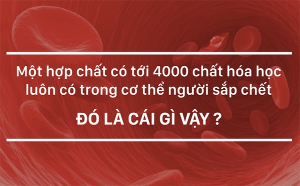 Dung dịch chứa tới 20 loại a-xít này luôn ở bên mà bạn không hề hay biết - Ảnh 1.