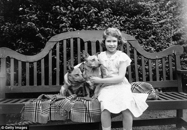 Cuộc sống nhung lụa của những chú chó cưng bên cạnh Nữ hoàng Anh - Ảnh 5.
