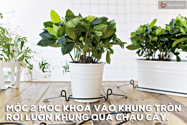 Biến vườn nhà bạn đẹp như quán cà phê chỉ trong một nốt nhạc - Ảnh 4.