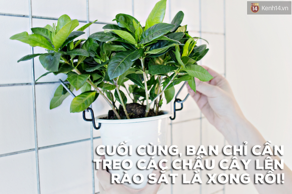 Biến vườn nhà bạn đẹp như quán cà phê chỉ trong một nốt nhạc - Ảnh 5.