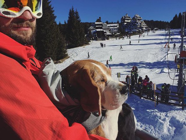 Gặp gỡ chú chó nghịch ngợm thích đi trượt tuyết nhất xứ Serbia - Ảnh 14.