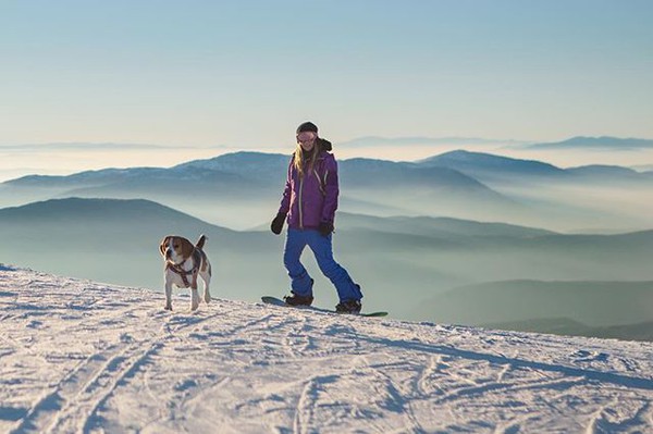 Gặp gỡ chú chó nghịch ngợm thích đi trượt tuyết nhất xứ Serbia - Ảnh 6.