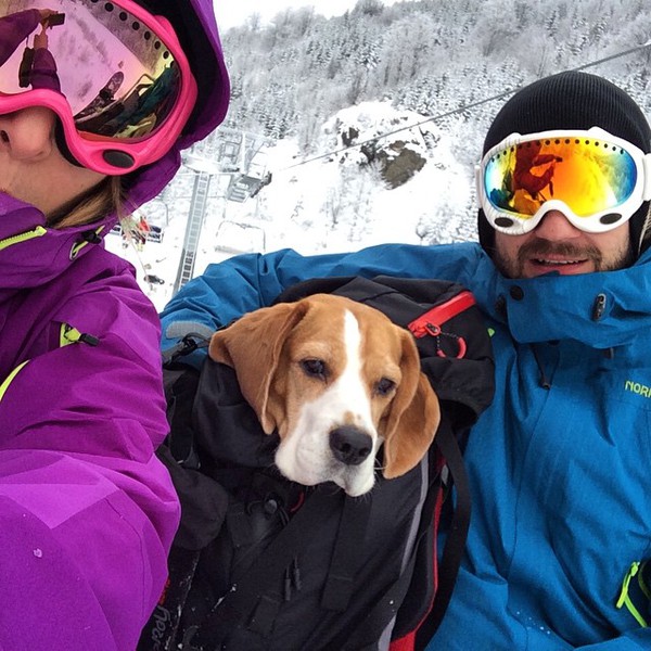 Gặp gỡ chú chó nghịch ngợm thích đi trượt tuyết nhất xứ Serbia - Ảnh 13.