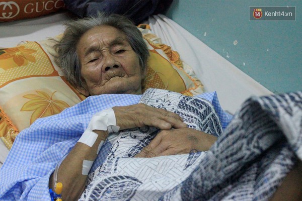 B&agrave; cụ b&aacute;n rau nu&ocirc;i ch&oacute;, m&egrave;o ở S&agrave;i G&ograve;n đang l&acirc;m cảnh khốn kh&oacute; v&igrave; gặp tai nạn nghi&ecirc;m trọng - Ảnh 2.
