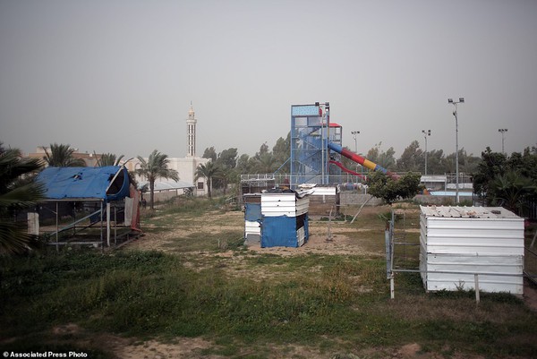 Những con vật chết mòn trong sở thú dải Gaza - Ảnh 9.