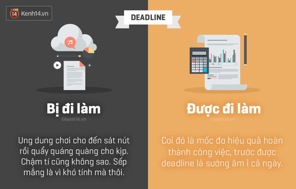 Bạn là người ĐƯỢC đi làm, hay kẻ BỊ đi làm? - Ảnh 5.