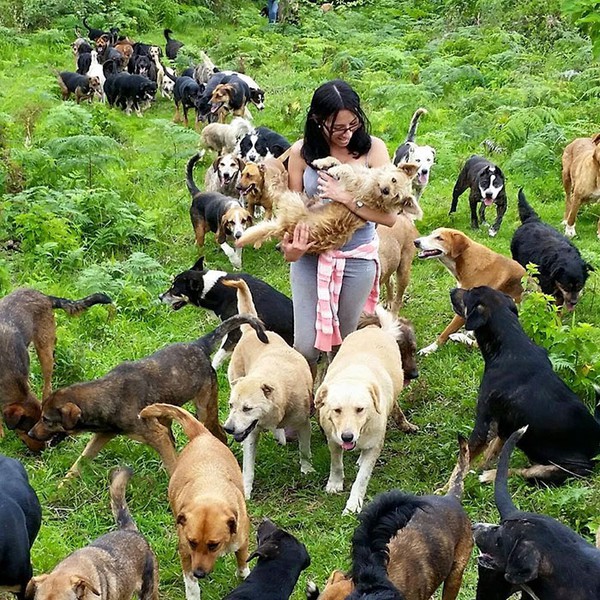 Thiên đường có thực duy nhất trên thế giới cho loài chó đây rồi - Ảnh 4.