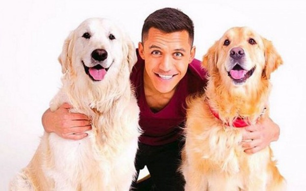 Vì sao hai chú chó đáng yêu nhà Alexis Sanchez lại có tên là Atom và Humber?