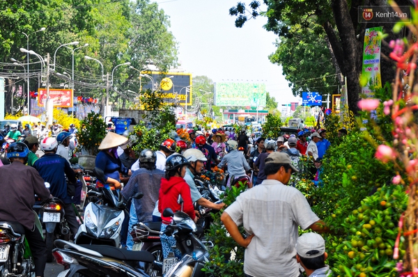 Chiều 29 Tết, người Sài Gòn chen nhau đi mua hoa đại hạ giá tràn ngập vỉa hè - Ảnh 4.