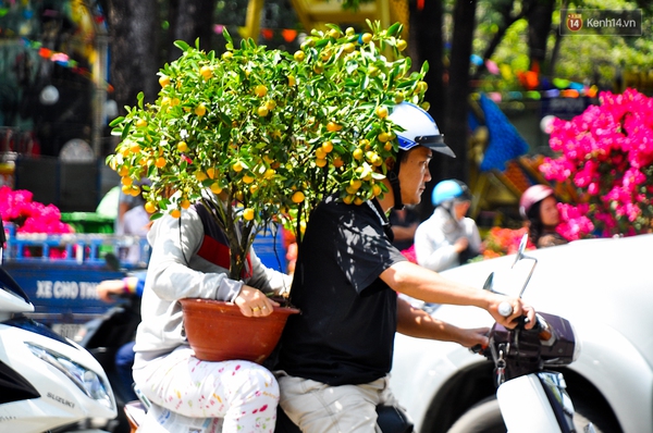 Chiều 29 Tết, người Sài Gòn chen nhau đi mua hoa đại hạ giá tràn ngập vỉa hè - Ảnh 5.