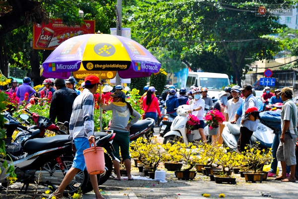 Chiều 29 Tết, người Sài Gòn chen nhau đi mua hoa đại hạ giá tràn ngập vỉa hè - Ảnh 2.