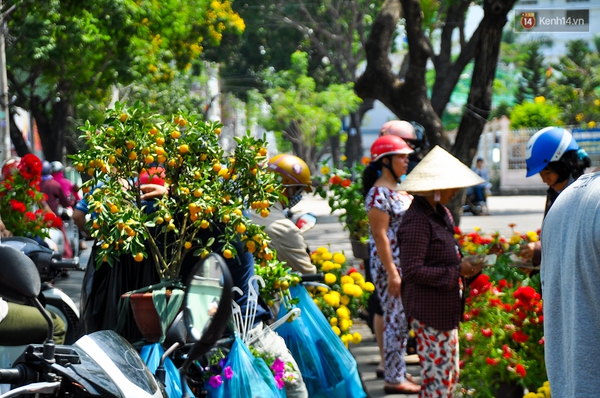 Chiều 29 Tết, người Sài Gòn chen nhau đi mua hoa đại hạ giá tràn ngập vỉa hè - Ảnh 10.