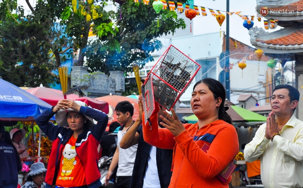 TP. HCM: Chim phóng sinh bị mua đi bán lại đến chết vào ngày Rằm tháng Giêng - Ảnh 3.