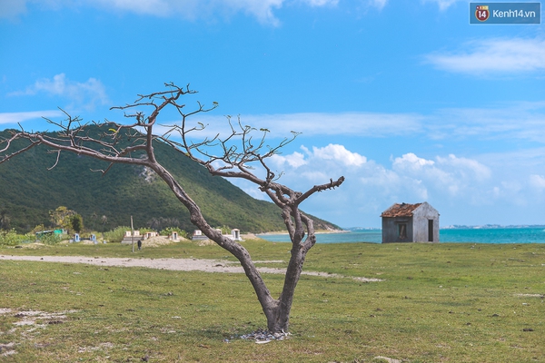 Đi bộ giữa biển ở Điệp Sơn - hòn đảo hot nhất hè 2016 này - Ảnh 1.