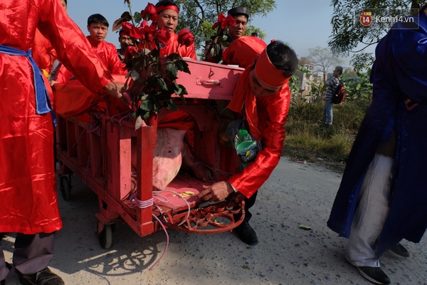 Bỏ tục ch&eacute;m lợn g&acirc;y phản cảm giữa s&acirc;n đ&igrave;nh, hai &ldquo;&ocirc;ng ỉn&rdquo; được đưa đi &ldquo;trảm&rdquo; k&iacute;n - Ảnh 4.