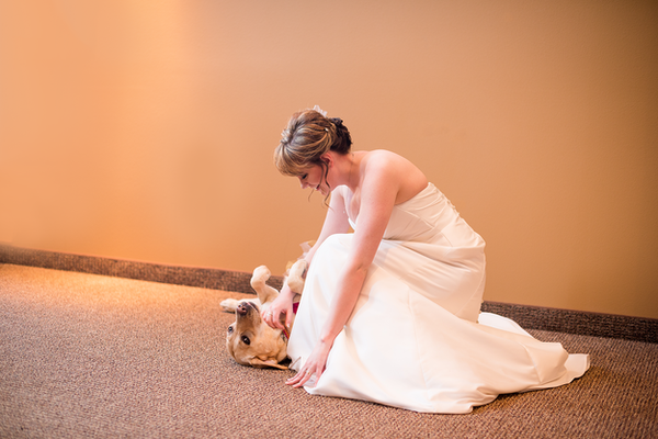 Chó cưng an ủi cô chủ trong ngày cưới gây xúc động - Ảnh 2.