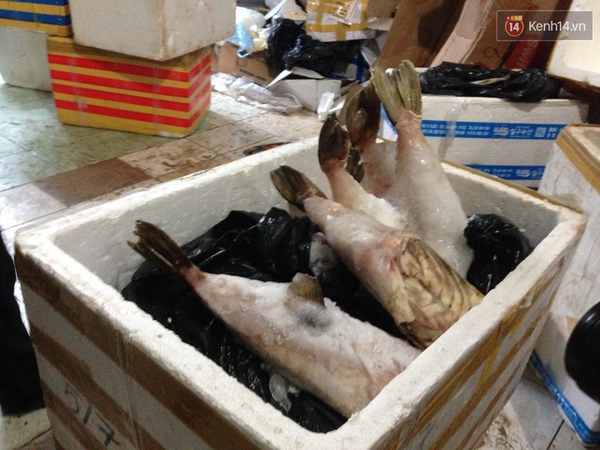 Bắt hơn 5 tấn hải sản đang ph&acirc;n hủy trong một kho h&agrave;ng tại H&agrave; Nội - Ảnh 2.