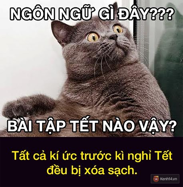 Đ&acirc;y ch&iacute;nh l&agrave; t&acirc;m trạng của ch&uacute;ng ta khi... Hết Tết Rồi! - Ảnh 14.