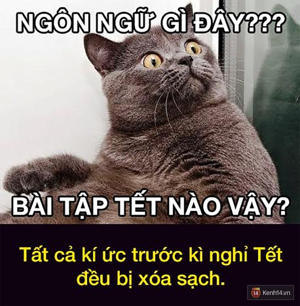 Đây chính là tâm trạng của chúng ta khi... Hết Tết Rồi! - Ảnh 14.