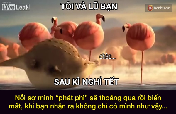Đ&acirc;y ch&iacute;nh l&agrave; t&acirc;m trạng của ch&uacute;ng ta khi... Hết Tết Rồi! - Ảnh 13.
