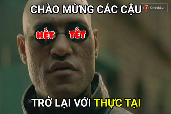Đ&acirc;y ch&iacute;nh l&agrave; t&acirc;m trạng của ch&uacute;ng ta khi... Hết Tết Rồi! - Ảnh 7.