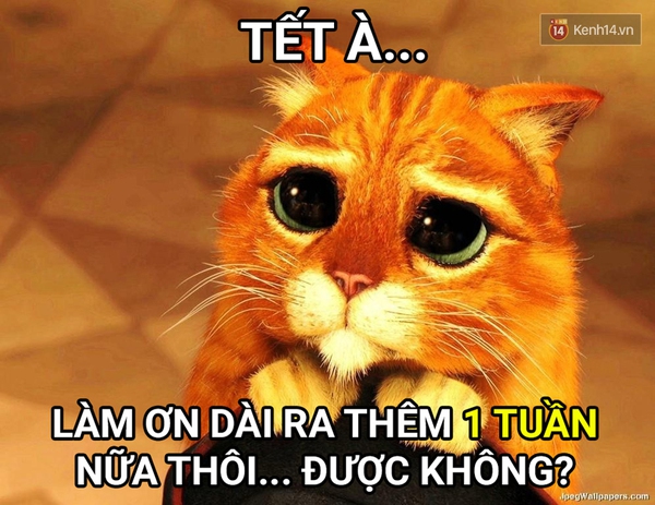 Đ&acirc;y ch&iacute;nh l&agrave; t&acirc;m trạng của ch&uacute;ng ta khi... Hết Tết Rồi! - Ảnh 8.