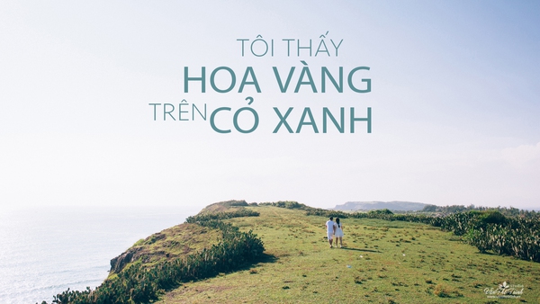 Hãy đến những nơi này để thấy Phú Yên còn đẹp hơn những gì bạn thấy trong hoa vàng cỏ xanh - Ảnh 23.