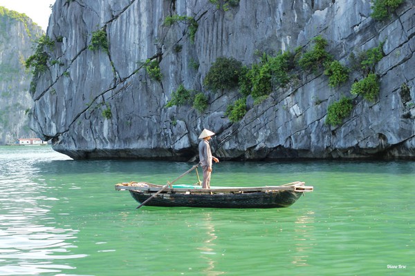 Từng góc nhỏ của Việt Nam đẹp như tranh dưới ống kính khách nước ngoài - Ảnh 1.