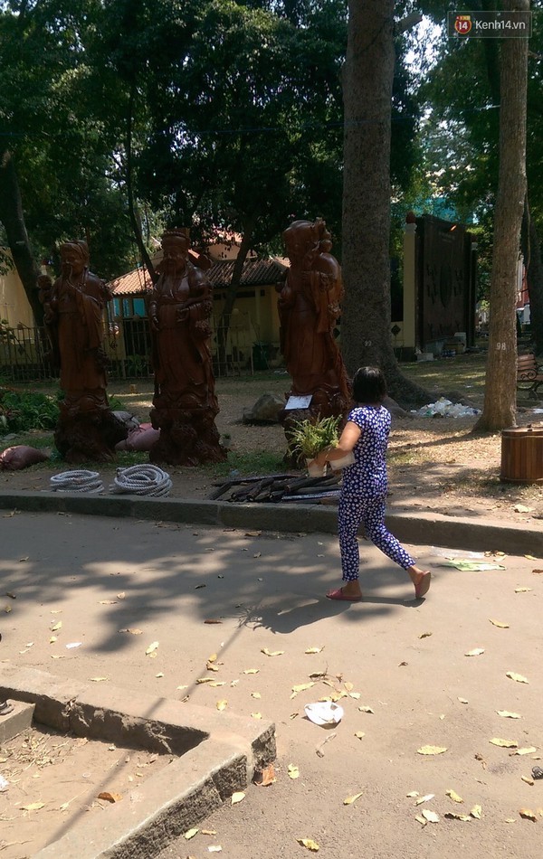 Hội hoa xu&acirc;n Tao Đ&agrave;n 2016 ch&iacute;nh thức đ&oacute;ng cửa, người d&acirc;n đến gom hoa về trồng - Ảnh 8.