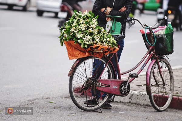 Hà Nội tháng 3, có hương hoa bưởi thoang thoảng thơm trong gió... - Ảnh 10.