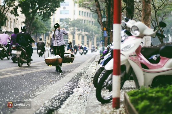 Chùm ảnh: Hà Nội nhẹ nhàng, trắng muốt màu hoa sưa - Ảnh 5.