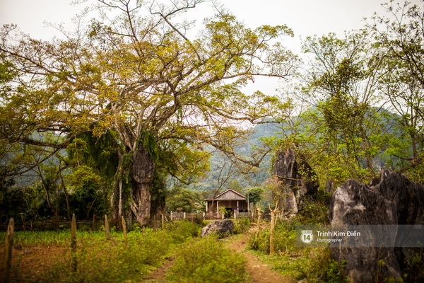 Ngôi làng mà King Kong đã quậy ở Quảng Bình có gì hay? - Ảnh 6.