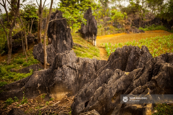 Ngôi làng mà King Kong đã quậy ở Quảng Bình có gì hay? - Ảnh 10.