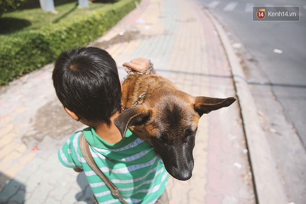 Cậu bé bán vé số và chú chó què: Milu là em út của em, em thương nó lắm! - Ảnh 2.