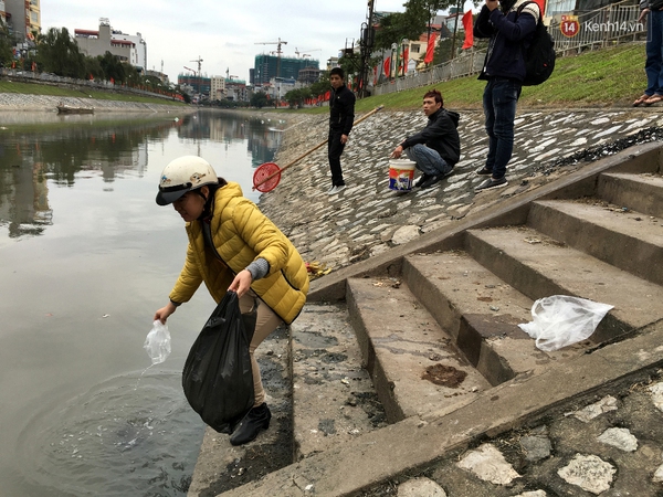 H&agrave; Nội: C&aacute; ch&eacute;p vừa thả để về trời đ&atilde; bị qu&acirc;y vợt bắt lại - Ảnh 7.
